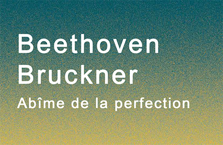 Ab�me de la perfection